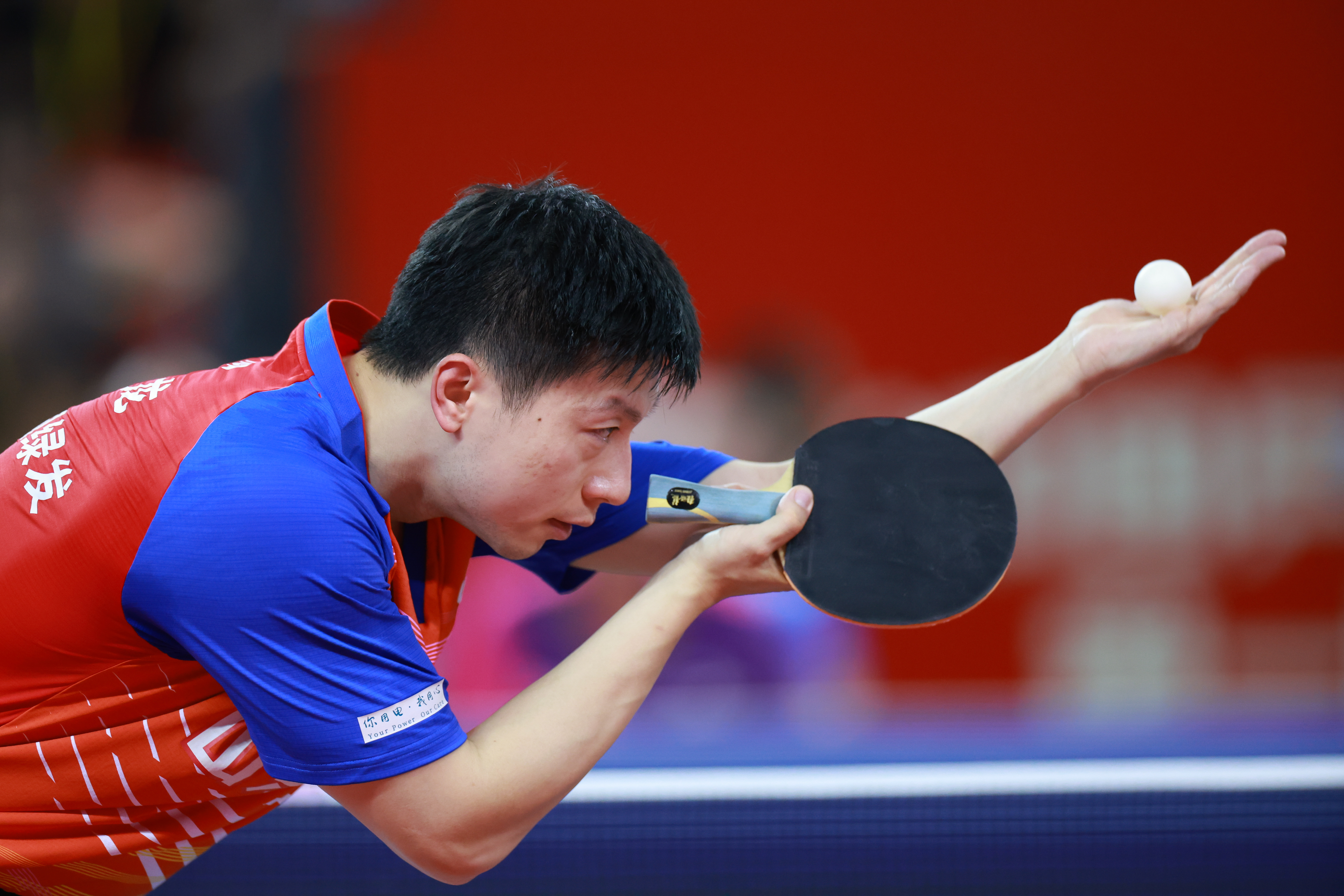 乒乓球赛事精彩瞬间盘点,年度回顾震撼登场 乒乓球赛事精彩瞬间盘点,年度回顾震撼登场