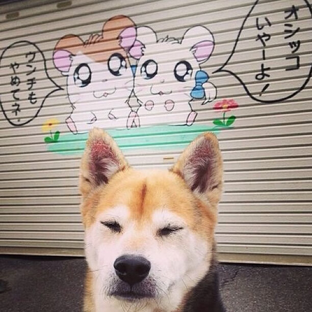 法网倾覆之夜,年终钢铸之魂,辛纳何以单肩扛起一个国家的等待