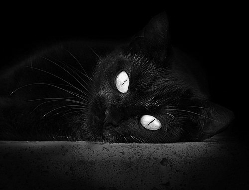 冰火交响曲，当德国战车撞碎长城时，羽坛诗人正挥写惊艳诗篇