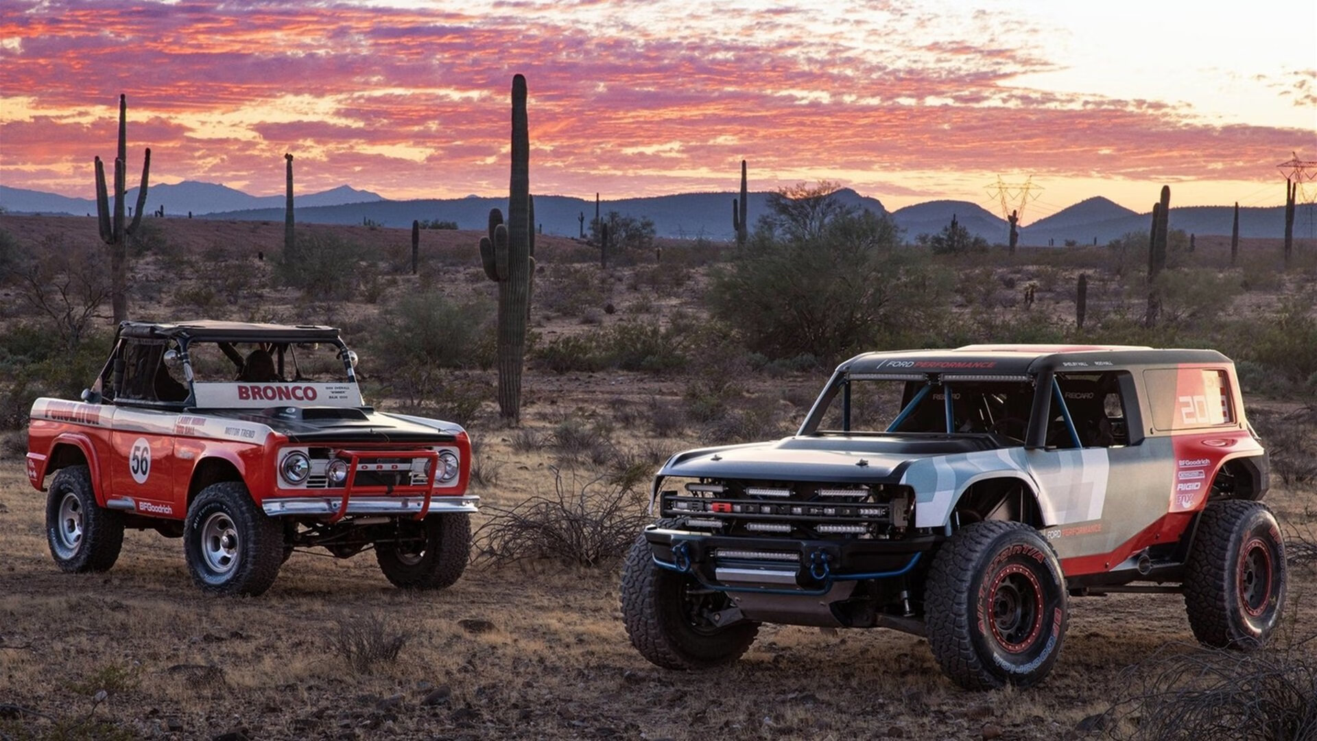 辛纳的逆袭之路，法网翻盘与ATP总决赛关键制胜