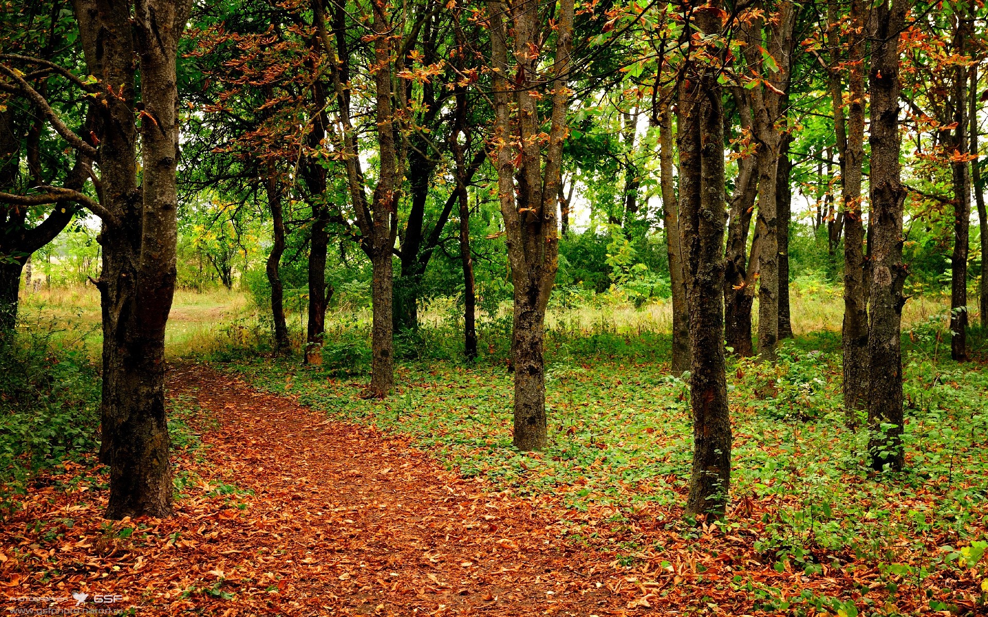 绿茵场上的闪电,当牙买加速度突袭伦敦桥—一场隐喻中的国家德比