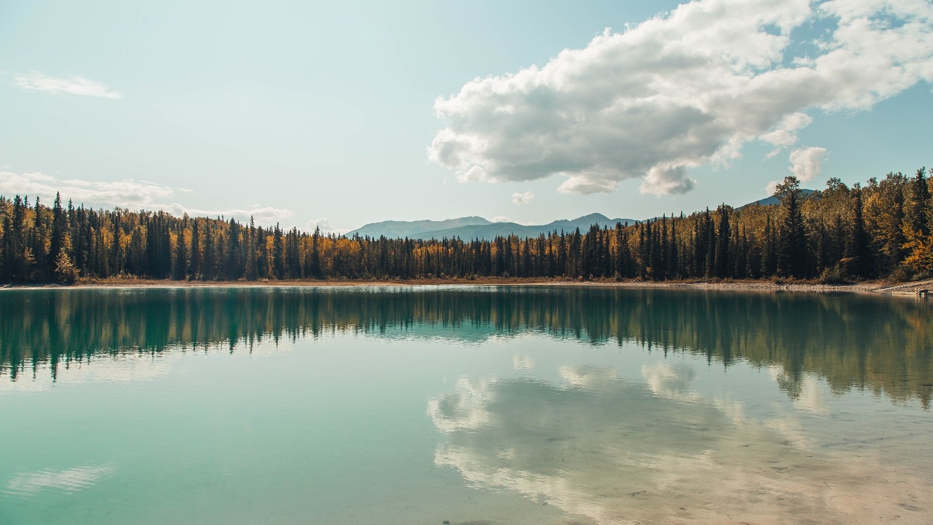 跨洋对决爆冷！辽宁队绝地逆袭快船，蓝领霍勒迪化身绝地武士