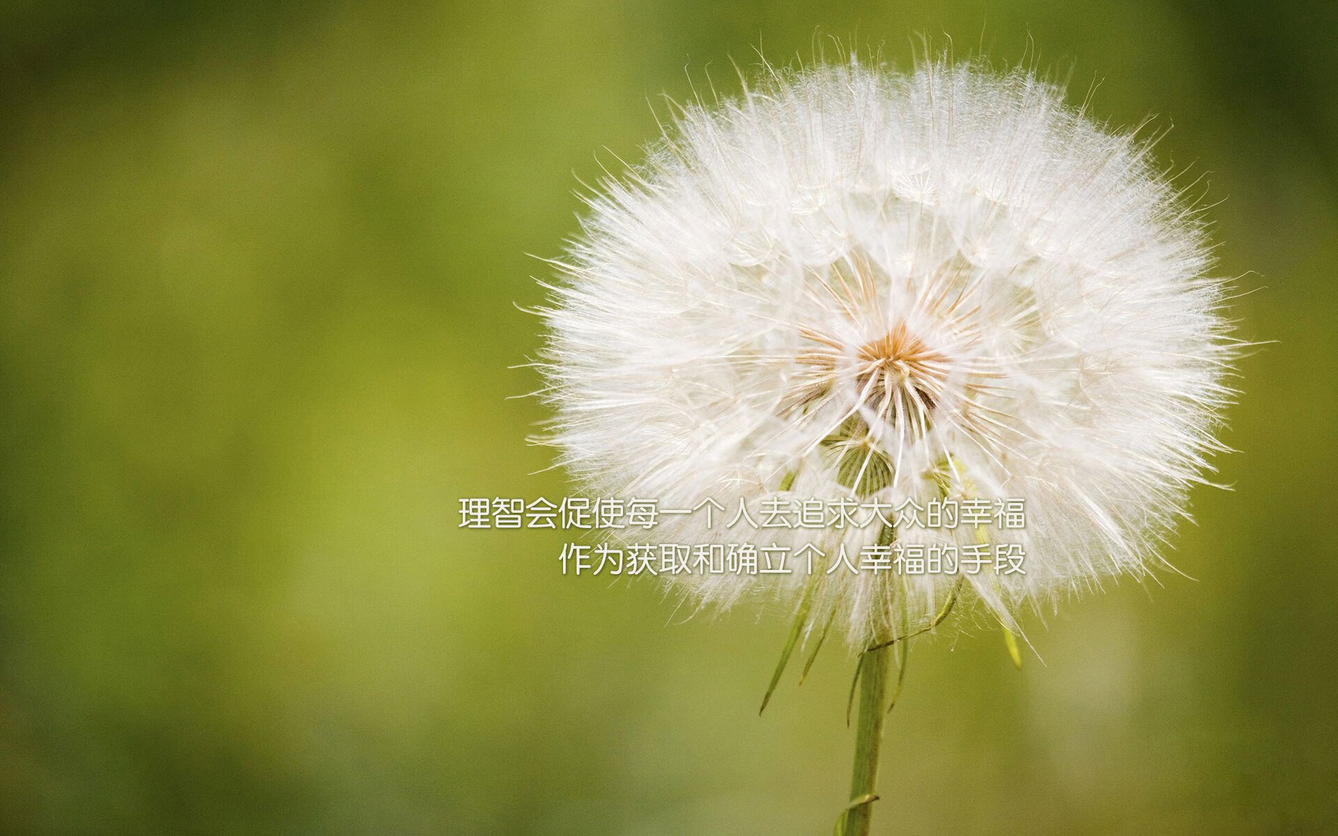 冰与火之歌,爵士寒潮粉碎猛龙,东契奇炽热绝杀奠定关键先生之名