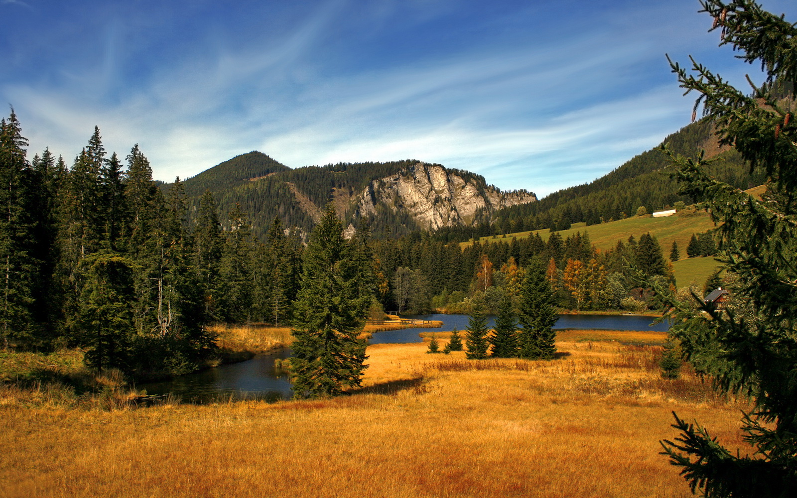 唯一的光，当巴西风暴遇见北欧指针，厄德高让雷恩之夜永载史册