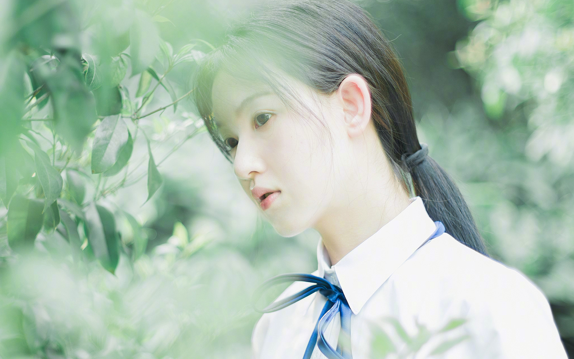 从雷霆铁血到戈贝尔壁垒,当防守艺术跨越两种赛场