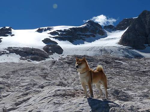 卡塞米罗的极速防守，当F1街道赛之夜的引擎声在绿茵场上回响