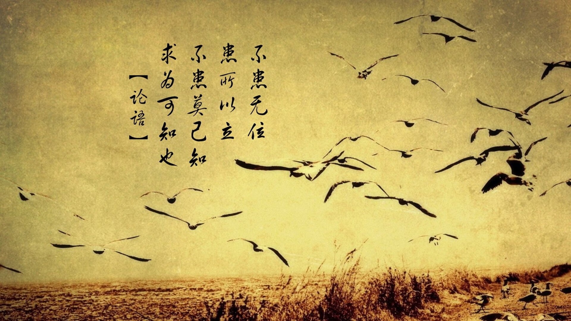 沙漠玫瑰绽放之夜,2026世界杯决赛,突尼斯逆转摩洛哥,齐耶赫封神一战