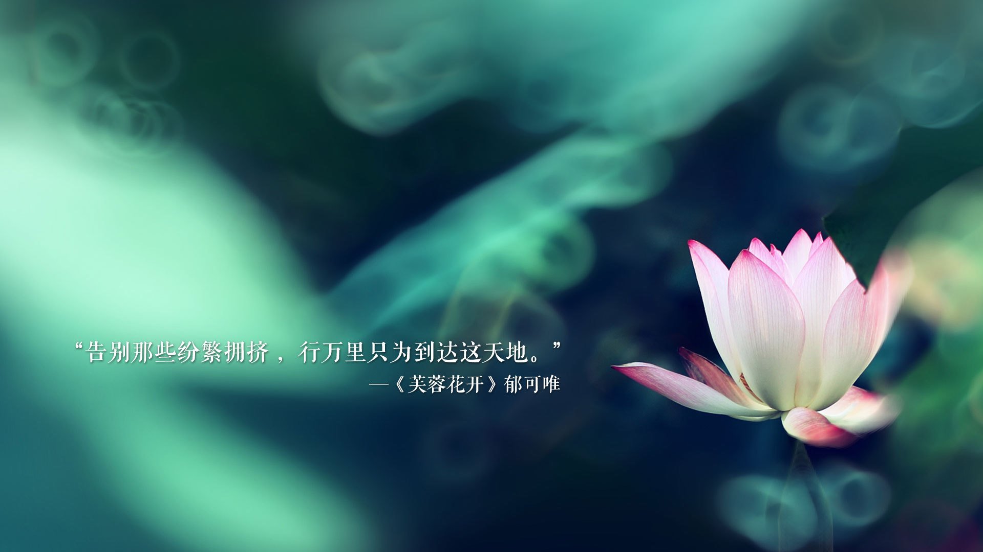 一场不可能的胜利，坎塞洛的指挥棒与泰国足球的崭新黎明